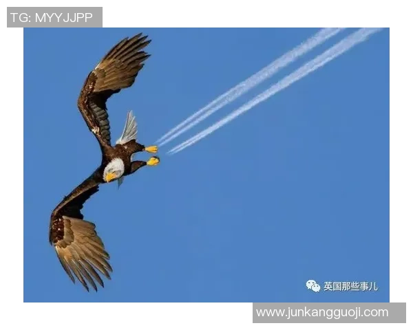 足球明星合照头像男士精选展示展现球场魅力与风采的完美瞬间